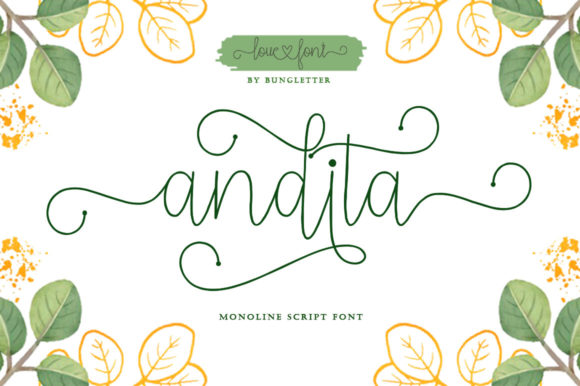 Andita: A Real-World Review for Designers