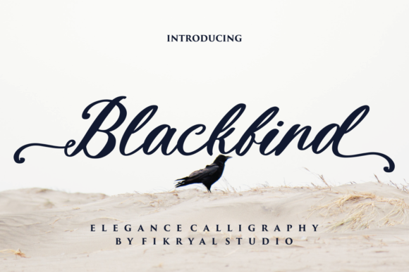 Blackbird: A Premium Script Font for Business Branding