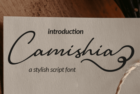 Camishia: A Designer's Real-World Review