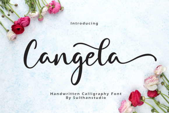 Cangela: A Romantic Script Font for Web Design