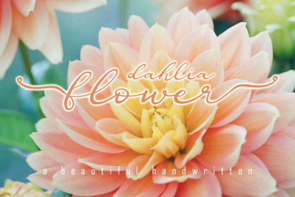 Dahlia Flower: A Romantic Script Typeface for Editors
